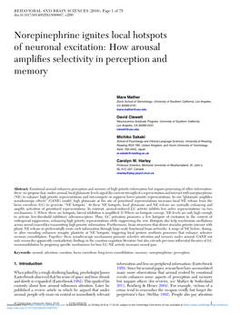 Norepinephrine Ignites Local Hotspots of Neuronal Excitation: How Arousal Ampliﬁes Selectivity in Perception and Memory