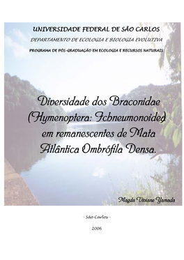 Diversidade Dos Braconidae (Hymenoptera: Ichneumonoidea) Em Remanescentes De Mata Atlântica Ombrófila Densa