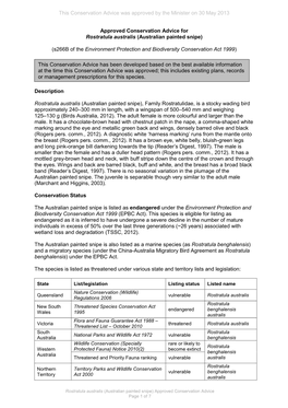 Approved Conservation Advice for Rostratula Australis (Australian Painted Snipe)