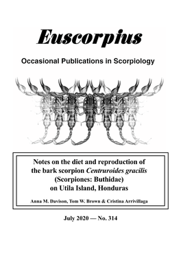 Notes on the Diet and Reproduction of the Bark Scorpion Centruroides Gracilis (Scorpiones: Buthidae) on Utila Island, Honduras