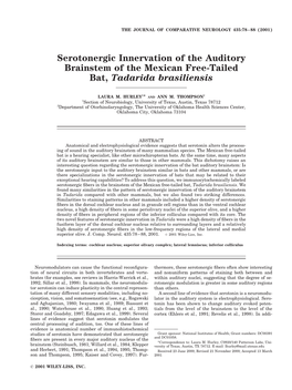 Serotonergic Innervation of the Auditory Brainstem of the Mexican Free-Tailed Bat, Tadarida Brasiliensis