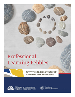 Professional Learning Pebbles: Activities to Build Teachers’ Foundational Knowledge