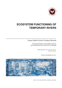 2.1 Climate Change and Water Scarcity: from a Global Scale to Particular Aspects in Mediterranean Region (Portugal)