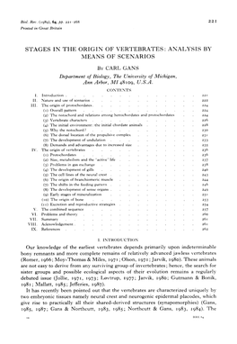 Stages in the Origin of Vertebrates: Analysis by Means of Scenarios