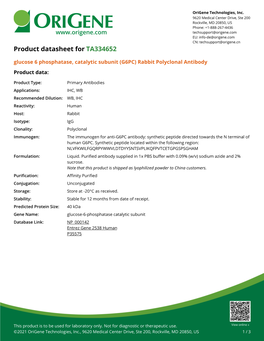 Glucose 6 Phosphatase, Catalytic Subunit (G6PC) Rabbit Polyclonal Antibody Product Data