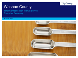 Washoe County Total Remuneration Study, Executive Summary Report