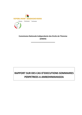 Rapport Sur Des Cas D'executions Sommaires