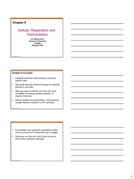 Cellular Respiration and Fermentation