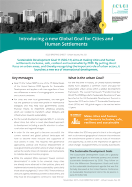 Introducing a New Global Goal for Cities and Human Settlements