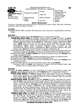 Lot 42 from Rossenarra Stud 42 the Property of Mr