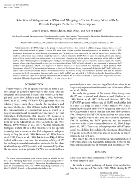 Detection of Subgenomic Cdnas and Mapping of Feline Foamy Virus Mrnas Reveals Complex Patterns of Transcription