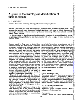 A Guide to the Histological Identification of Fungi in Tissues