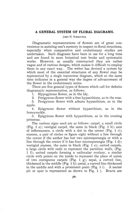 A General System of Floral Diagrams