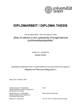 Diplomarbeit / Diploma Thesis