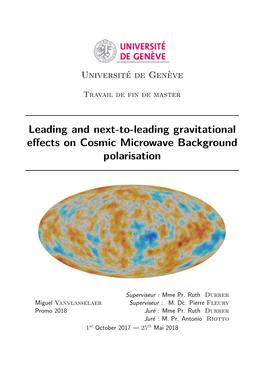 Leading and Next-To-Leading Gravitational Effects on Cosmic