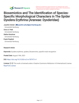 Speci C Morphological Characters in the Spider Dysdera Erythrina