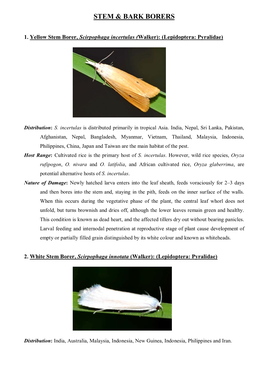 Stem & Bark Borers, Leaf Feeders