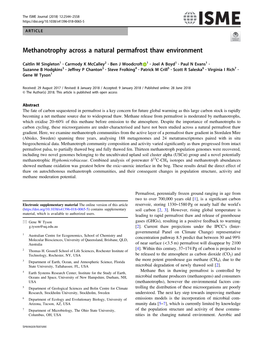 Methanotrophy Across a Natural Permafrost Thaw Environment