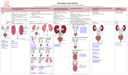 Fetal Renal Cystic Diseases