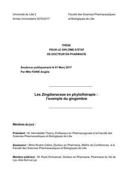 Les Zingiberaceae En Phytothérapie : L'exemple Du Gingembre