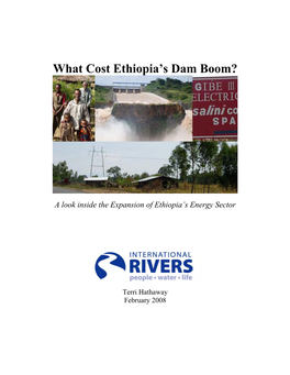 What Cost Ethiopia's Dam Boom?