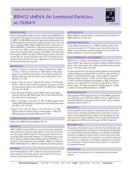 RBM12 Shrna (H) Lentiviral Particles: Sc-76364-V