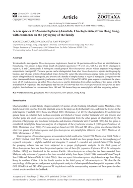 A New Species of Mesochaetopterus (Annelida, Chaetopteridae) from Hong Kong, with Comments on the Phylogeny of the Family