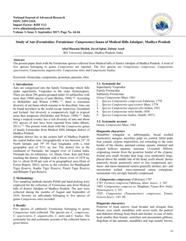 Formicidae: Formicinae: Camponotus) Fauna of Medical Hills Jabalpur, Madhya Pradesh
