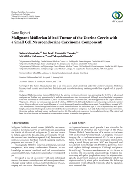 Malignant Müllerian Mixed Tumor of the Uterine Cervix with a Small Cell Neuroendocrine Carcinoma Component