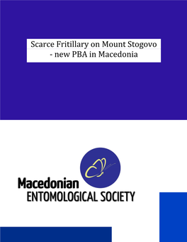 Scarce Fritillary on Mount Stogovo