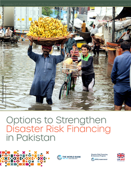 Options-To-Strengthen-Disaster-Risk