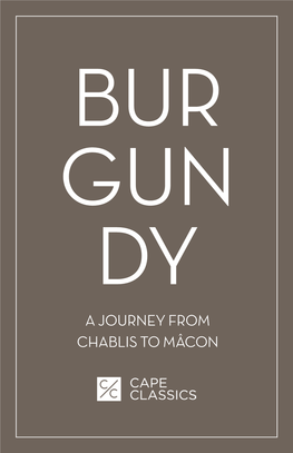 A Journey from Chablis to Mâcon the Five Wine Producing Regions of Burgundy