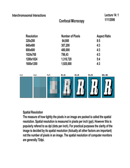 Confocal Microcopy 1/11/2006