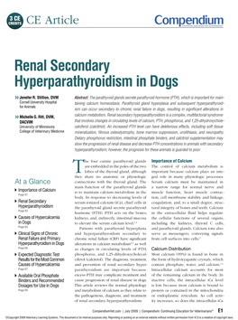 Renal Secondary Hyperparathyroidism in Dogs