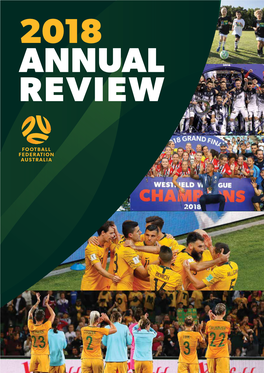 2018 FFA Annual Review