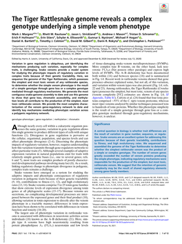 The Tiger Rattlesnake Genome Reveals a Complex Genotype
