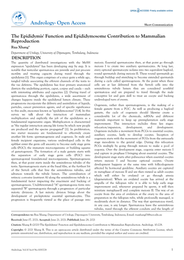 The Epididymis' Function and Epididymosome Contribution to Mammalian Reproduction