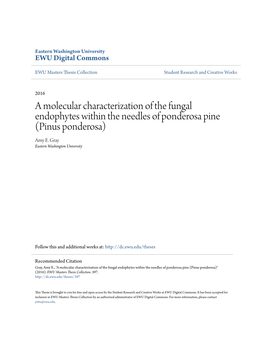 A Molecular Characterization of the Fungal Endophytes Within the Needles of Ponderosa Pine (Pinus Ponderosa) Amy E
