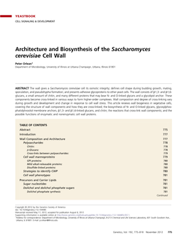 Architecture and Biosynthesis of the Saccharomyces Cerevisiae Cell Wall