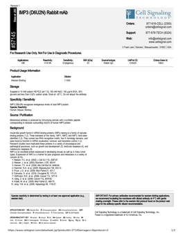 IMP3 (D6U2N) Rabbit Mab A