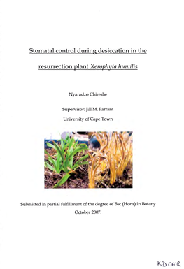 Stomatal Control During Desiccation in the Resurrection Plant Xerophyta Humilis