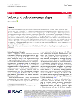 Volvox and Volvocine Green Algae James G