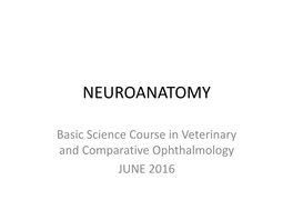 Neuroanatomy