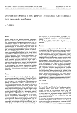 Cuticular Microstructure in Some Genera of Hydrophilidae (Coleoptera) and Their Phylogenetic Significance