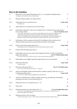 Key to the Families 1A Wings More Or Less Reduced (Brachypterous, Fig