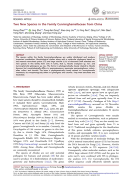 Two New Species in the Family Cunninghamellaceae from China