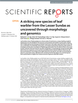 A Striking New Species of Leaf Warbler from the Lesser Sundas As