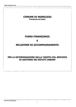 Comune D I Monguzzo Piano Finanziario Relazione D I Accompagnamento