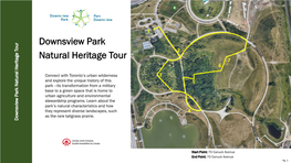 Downsview Park Natural Heritage Tour Heritage Natural Park Downsview Downsview Park Tour Park Heritage Natural Downsview