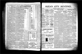 NOT CHEAPEST, but LEAST EXPENSIVE \ MODERN PLUMBING and HEATING HAND NAMED to SUCCEED SENATOR LEWIS M. CRES5E Tin, • Slate